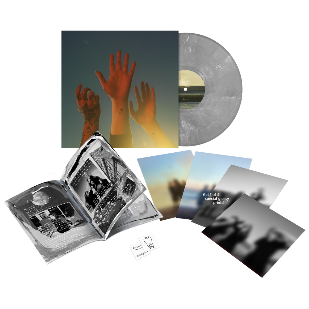 the record vinyl lp [ltdedition silver vinyl] boygenius Official Store