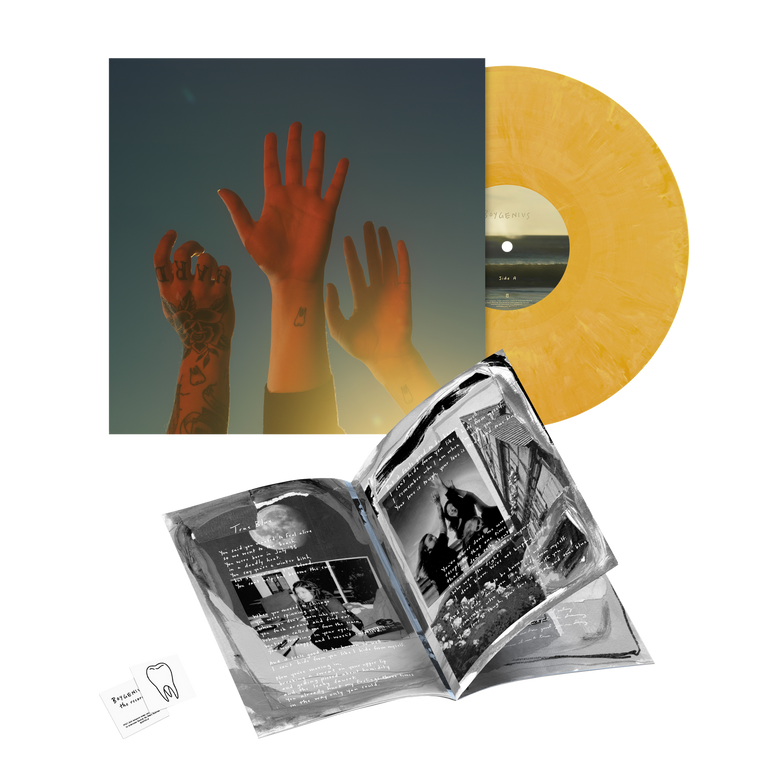 boygenius Official Store